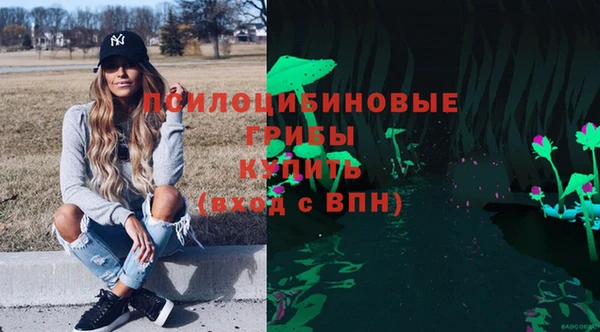 скорость Богородицк