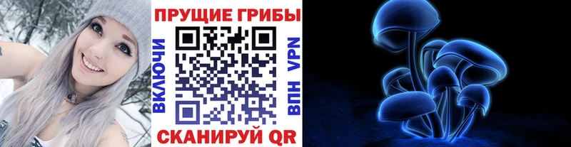 Купить Видное Псилоцибиновые грибы ЛСД