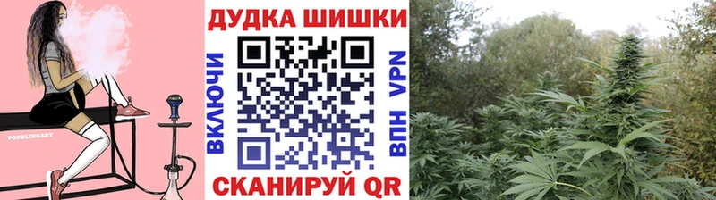 Купить закладки  Видное  Канабис THC 21% 